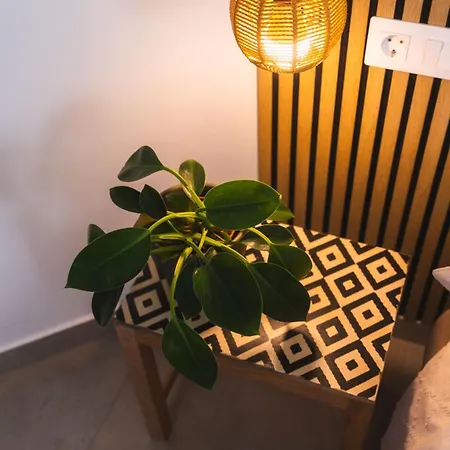 Apartment Amber Skies Seafront Retreat *